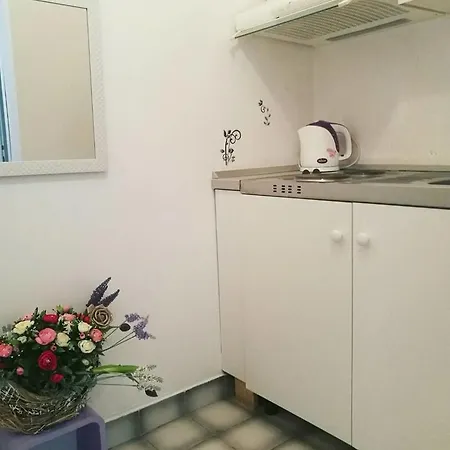 Apartman Rogic *