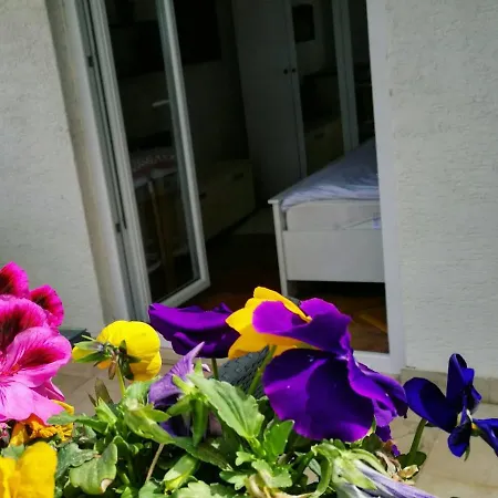 Rogic Apartman Zadar